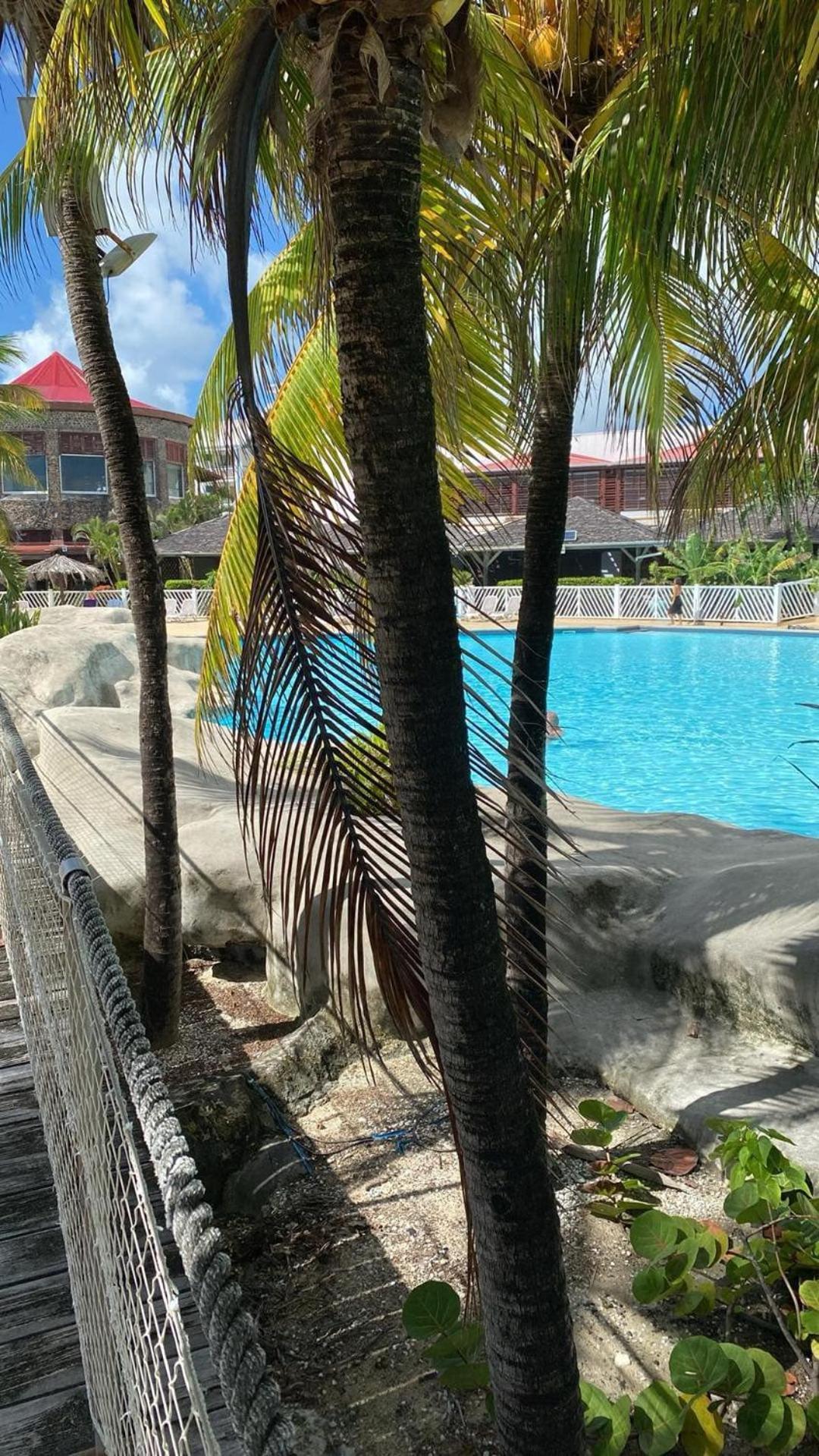 Studio Bord De Mer Avec Piscine - Le Manganao, Saint-Francois エクステリア 写真