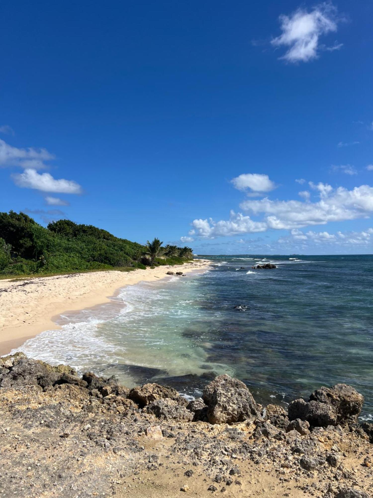 Studio Bord De Mer Avec Piscine - Le Manganao, Saint-Francois エクステリア 写真
