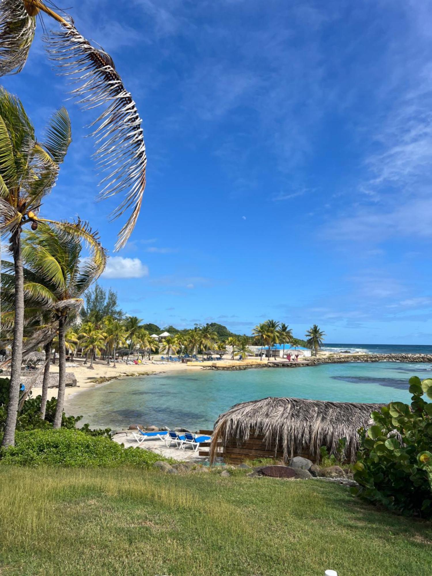 Studio Bord De Mer Avec Piscine - Le Manganao, Saint-Francois エクステリア 写真